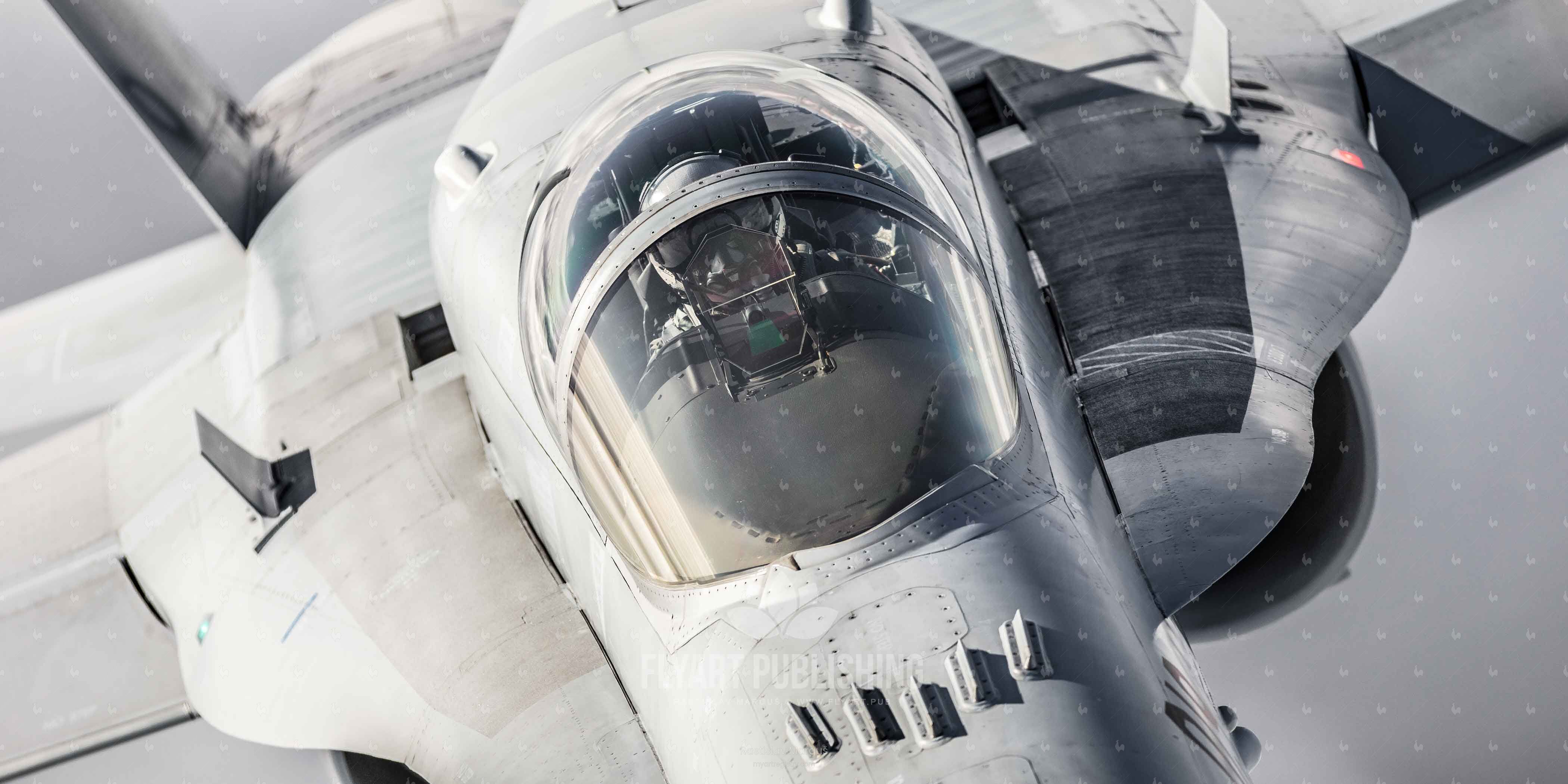 Swiss F/A-18 Hornet 10