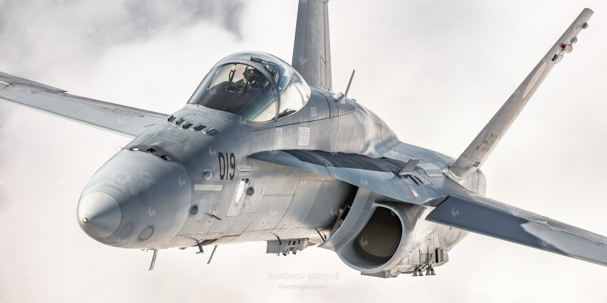 Swiss F/A-18 Hornet 2