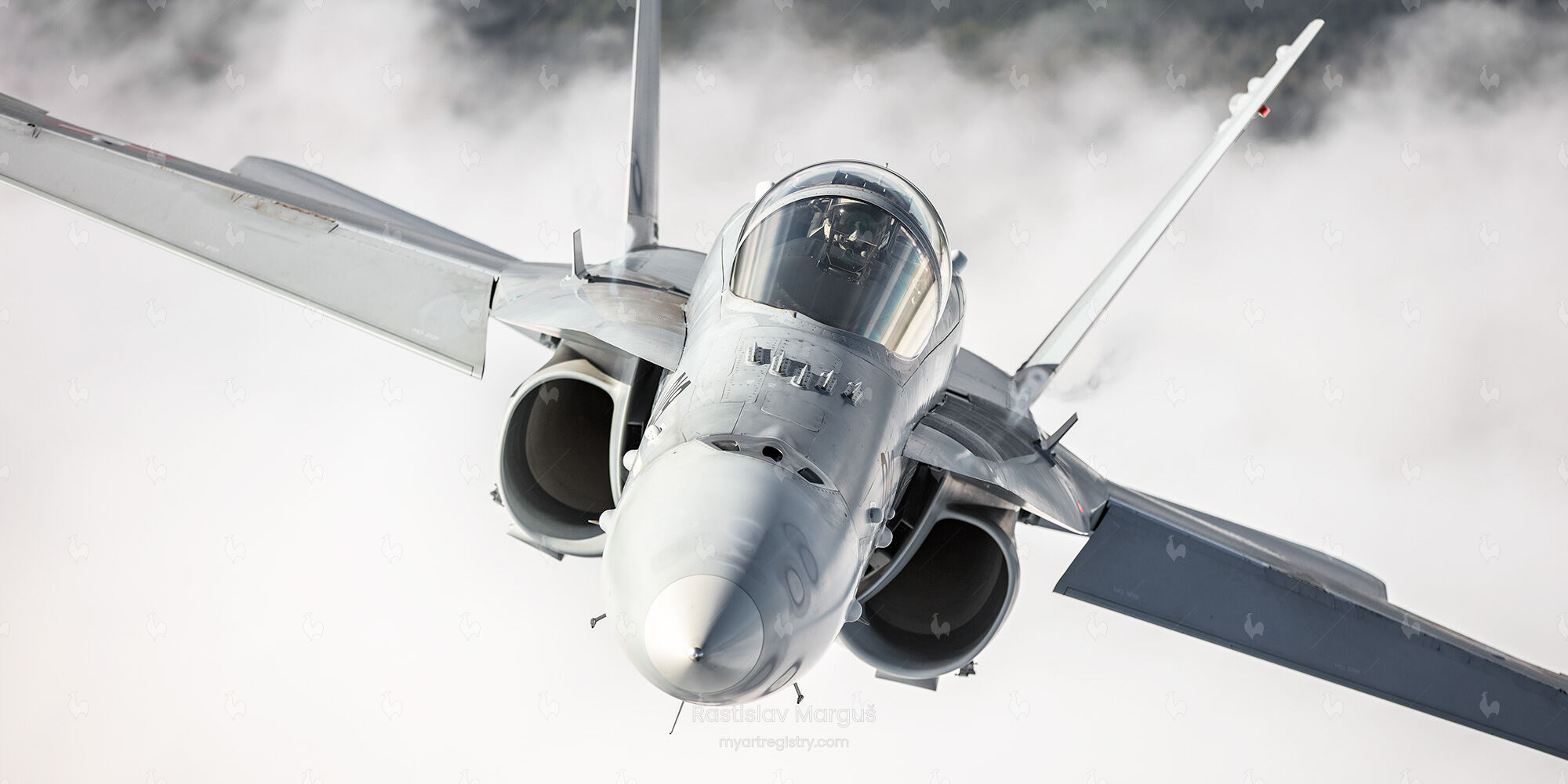 Swiss F/A-18 Hornet 1