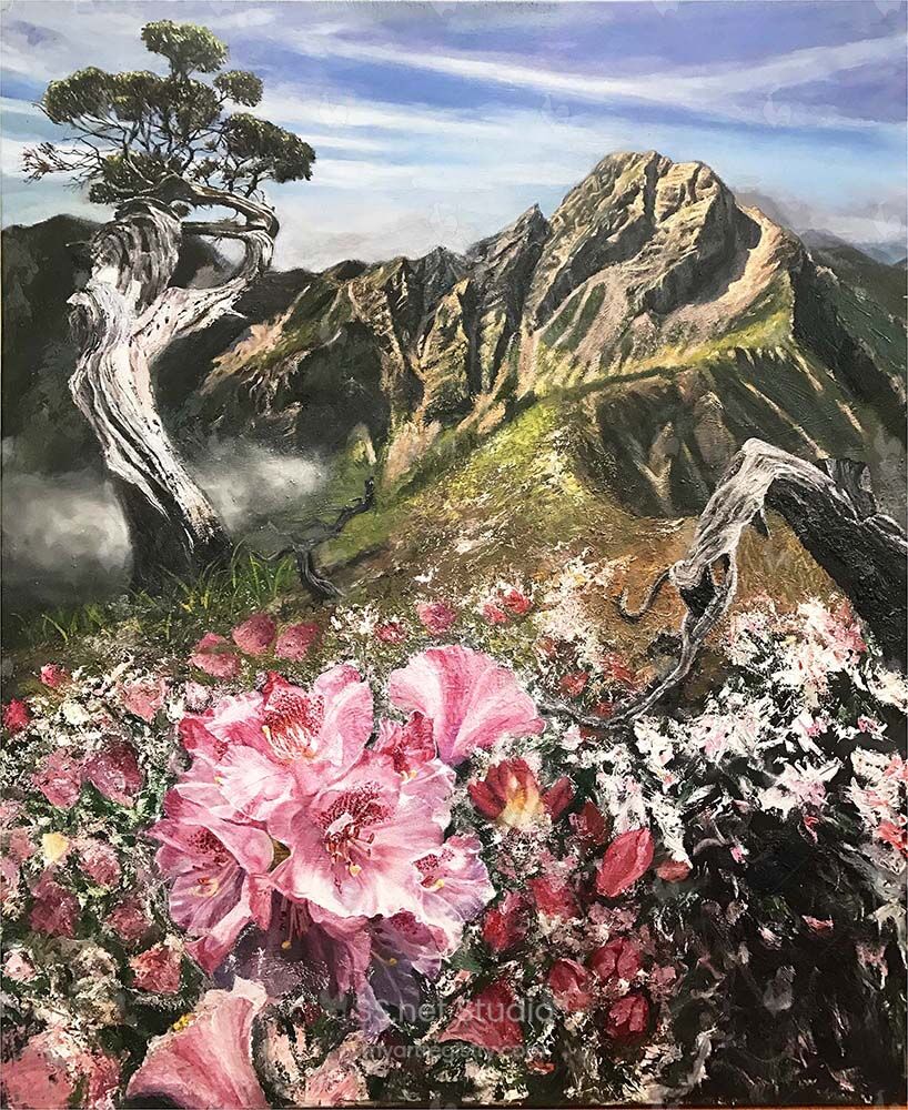 Spring on Mountain Jade(玉山之春)