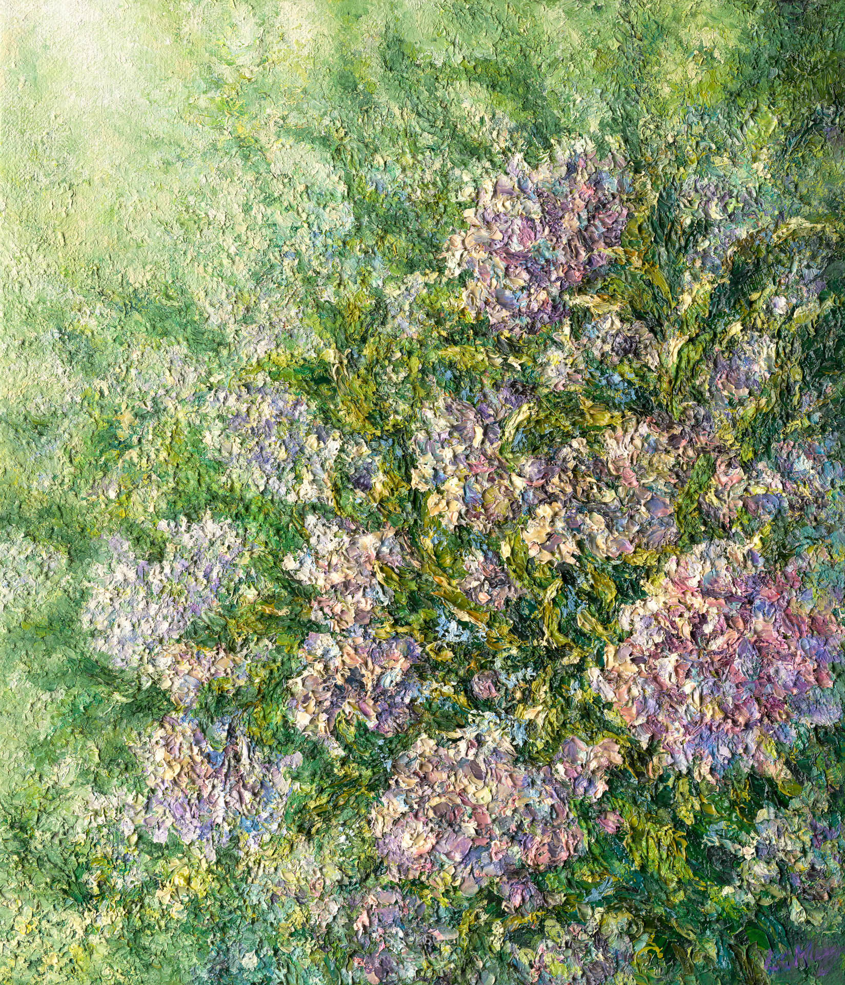 繡球花