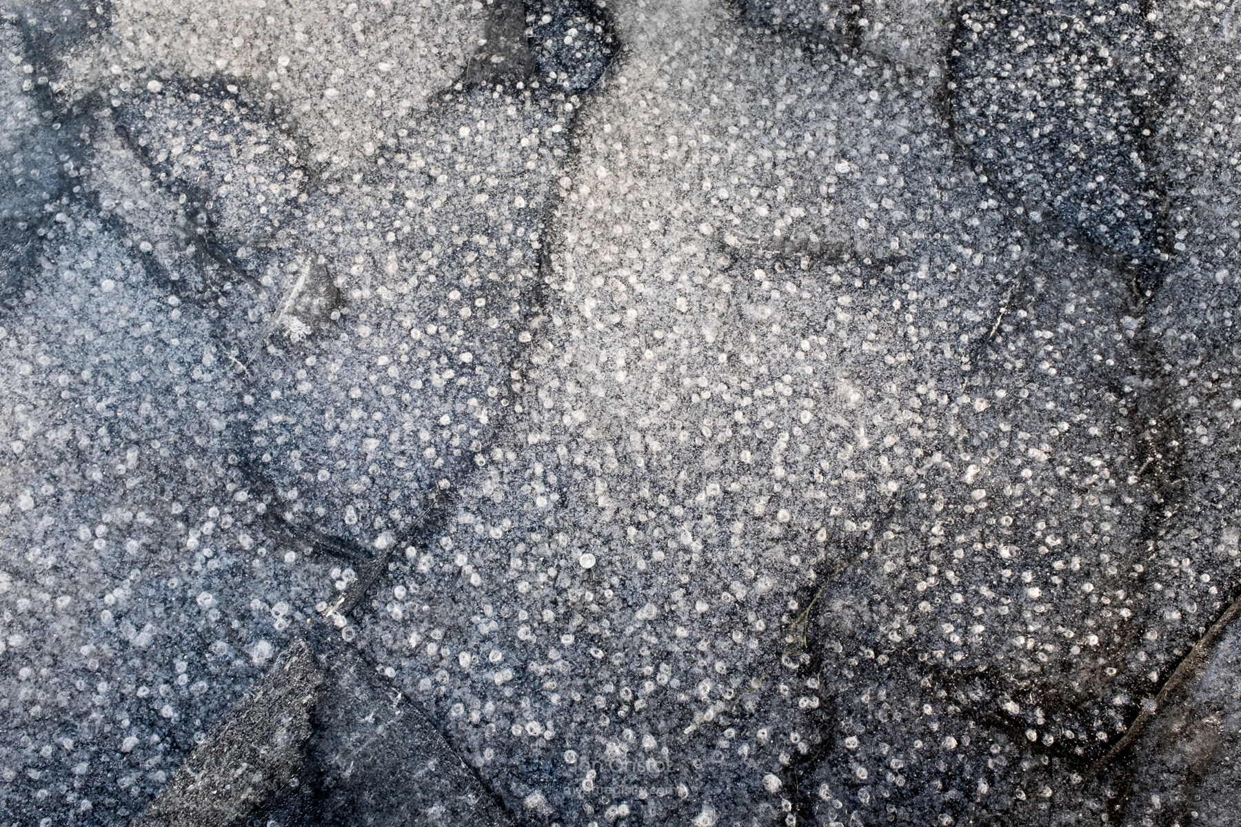 Pond Ice #10