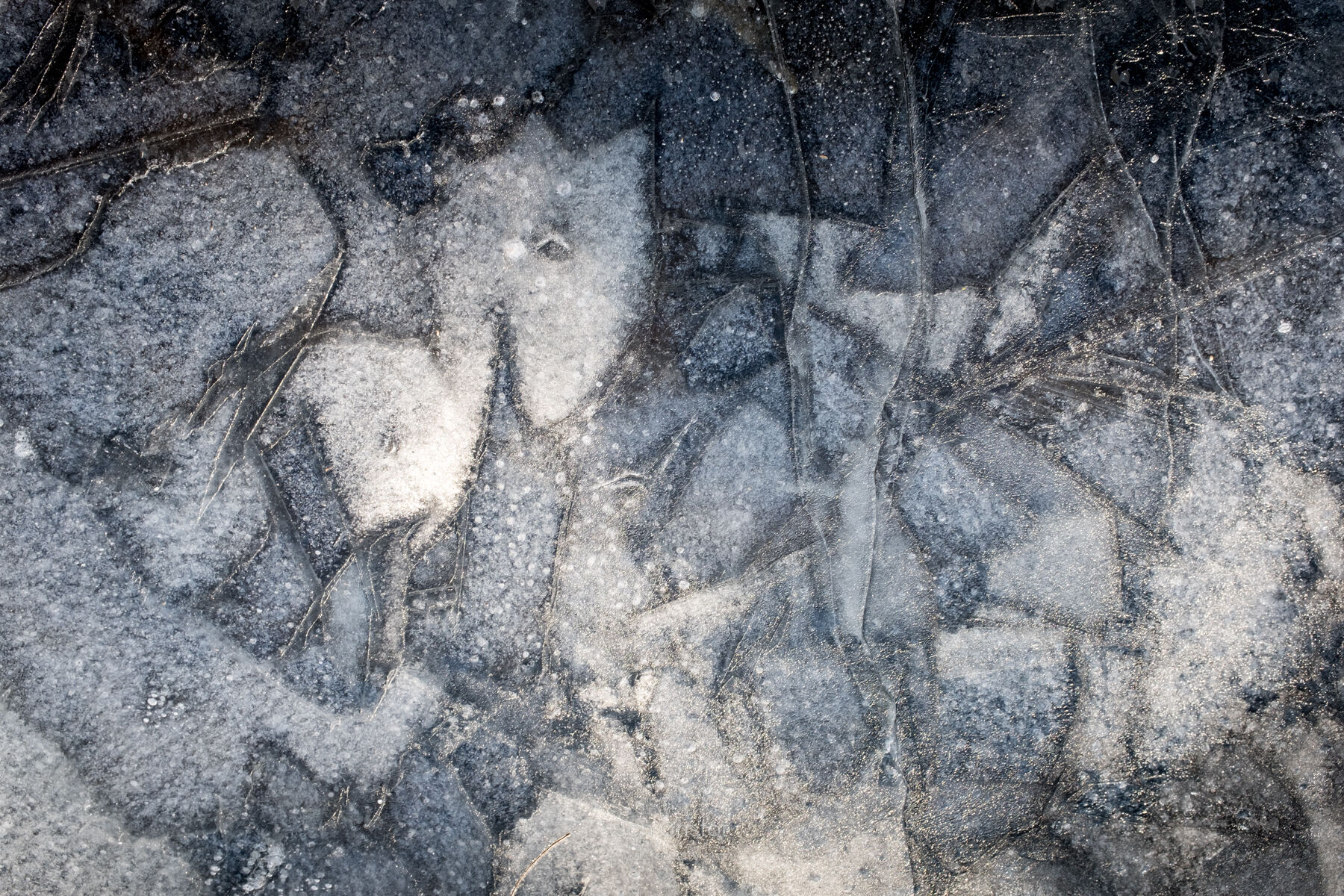 Pond Ice #9