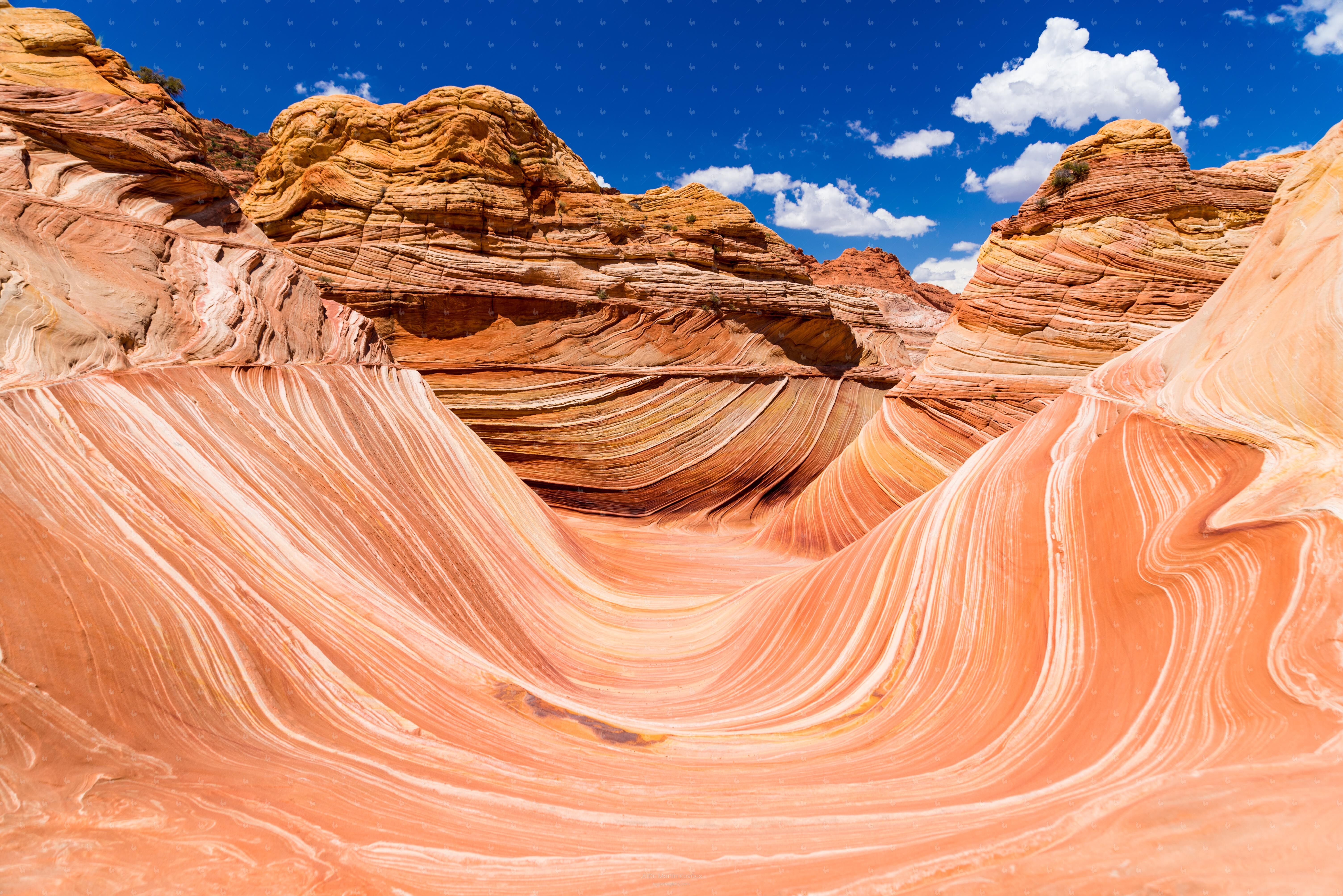 On The Waves of Arizona