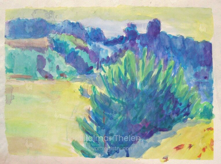 Wiesenlandschaft | Meadow Landscape