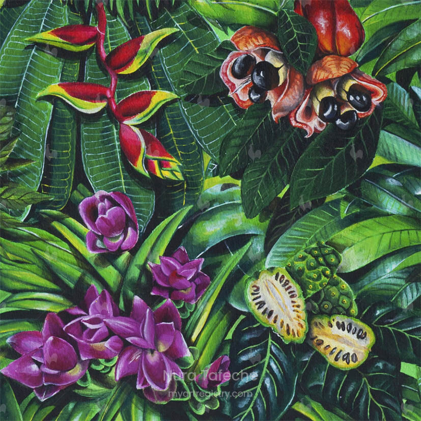 Noura Tafeche - Dettaglio con Ackee
