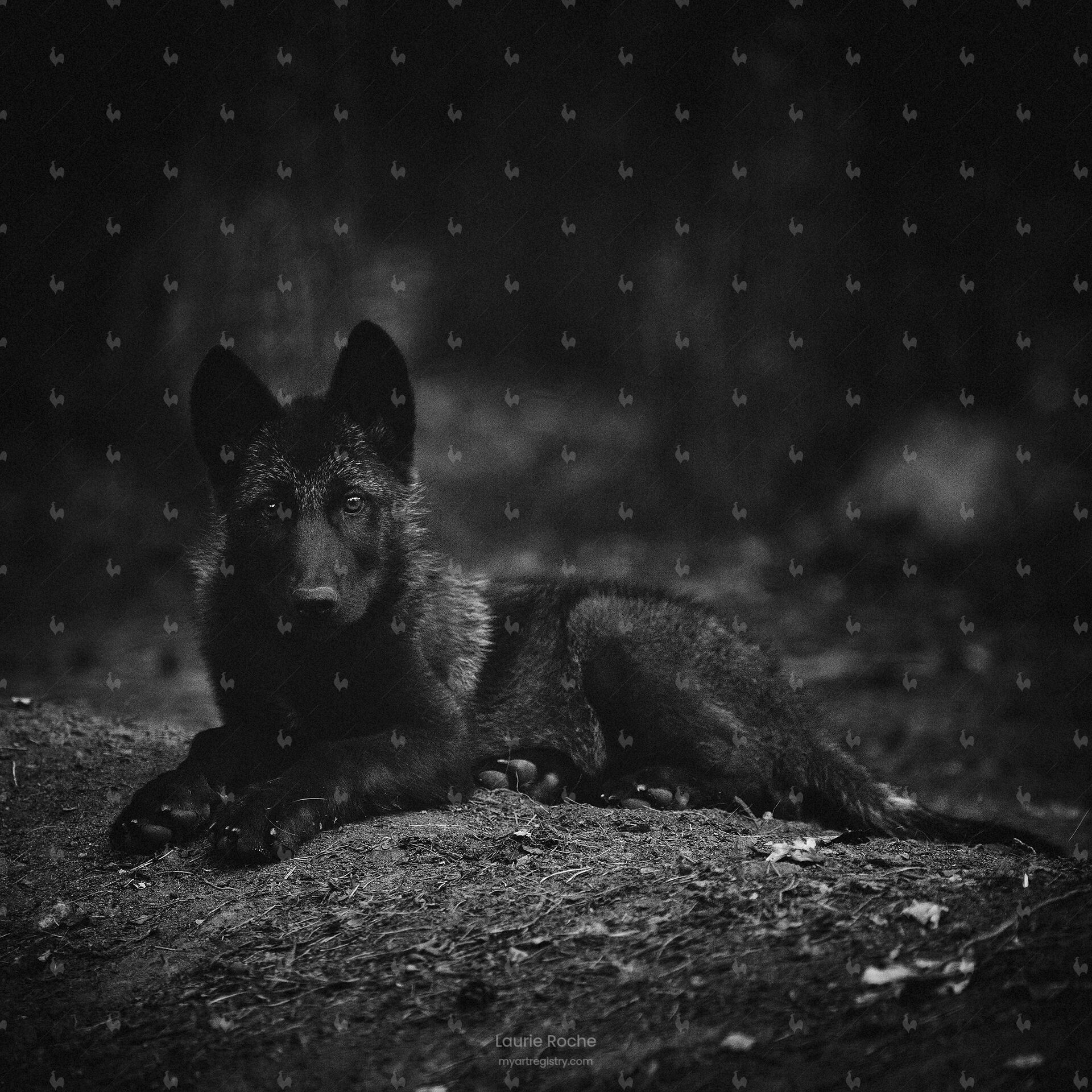 Fenrir IV