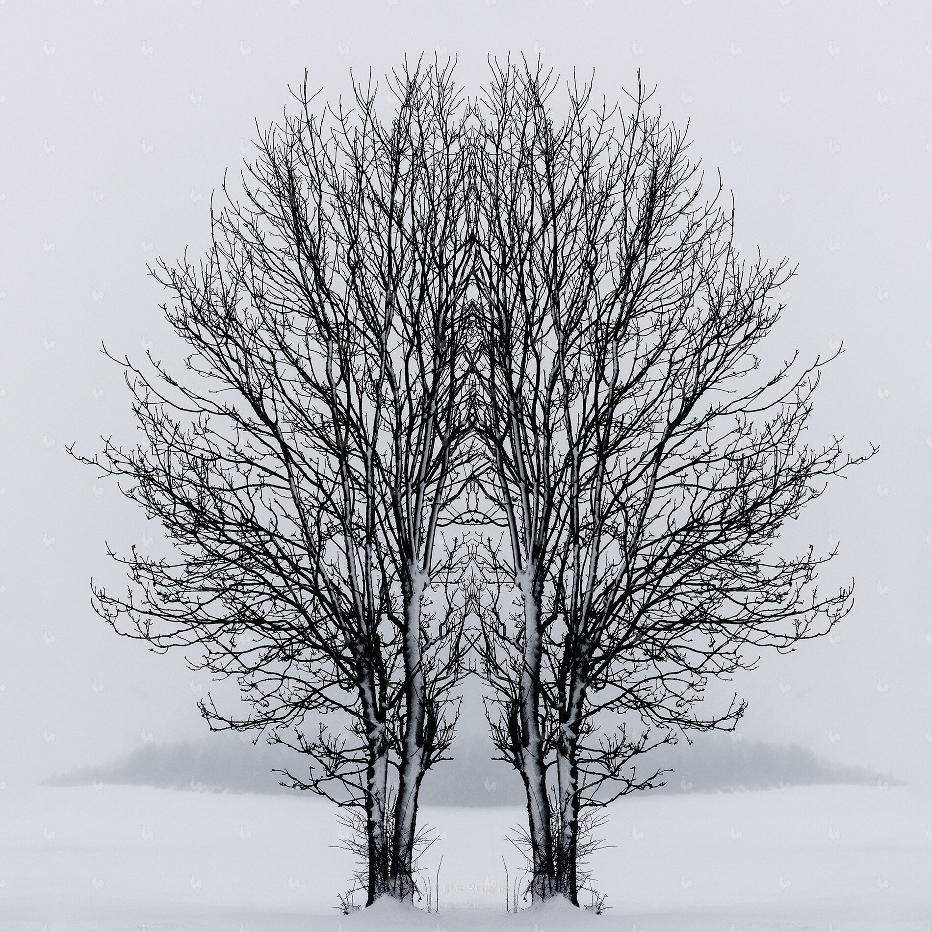 Cernunnos