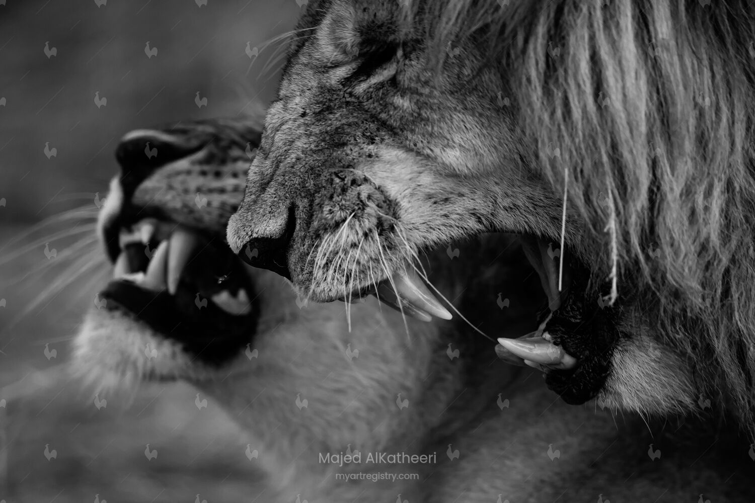 Rough Passion