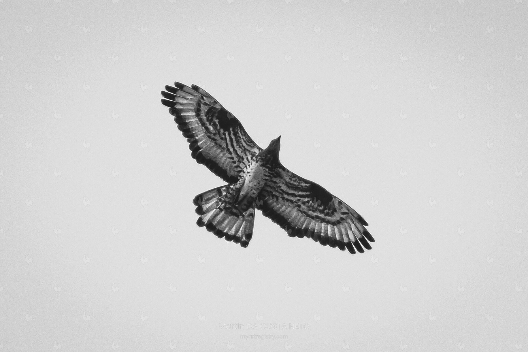 Heure de chasse