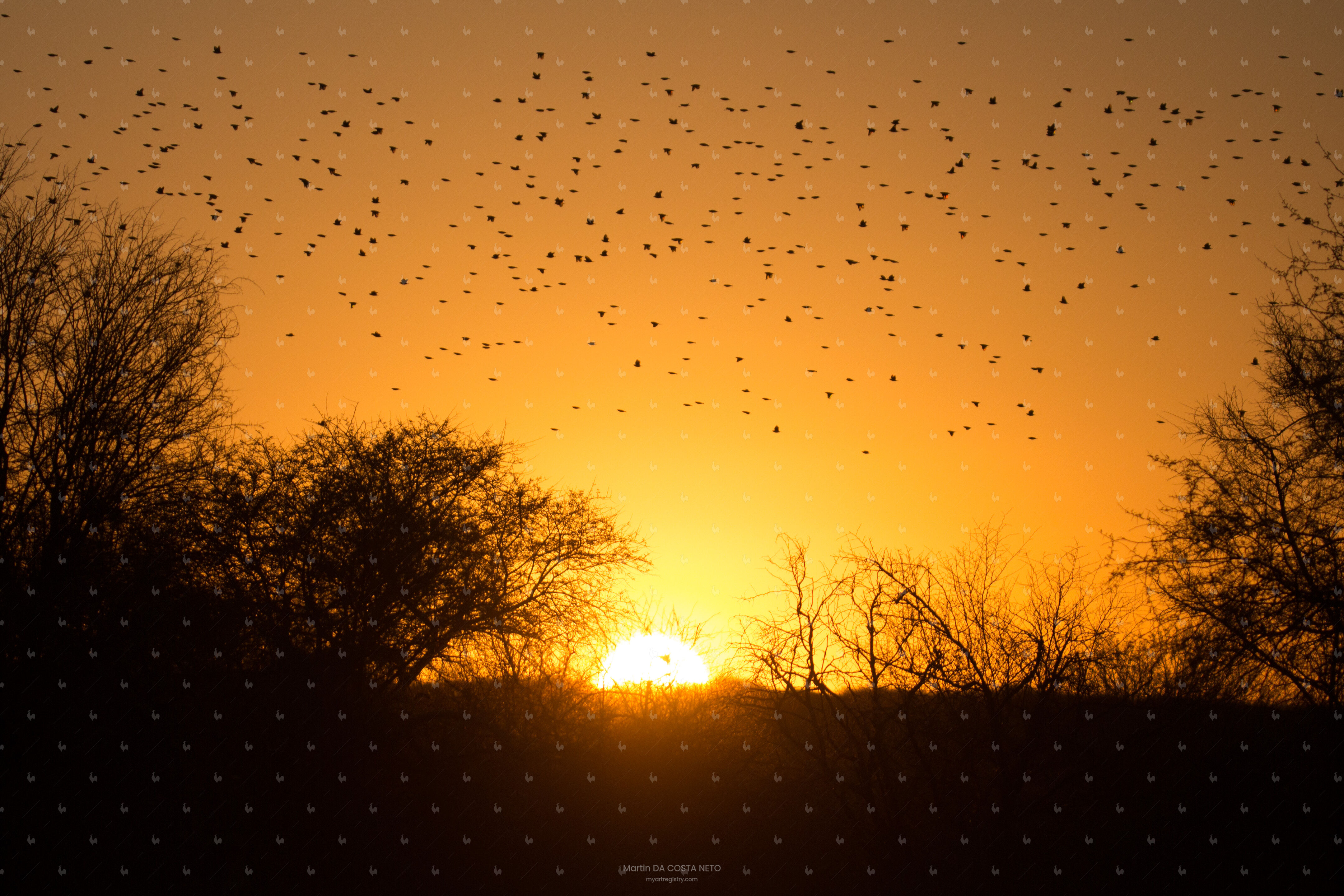 A vol d'oiseau