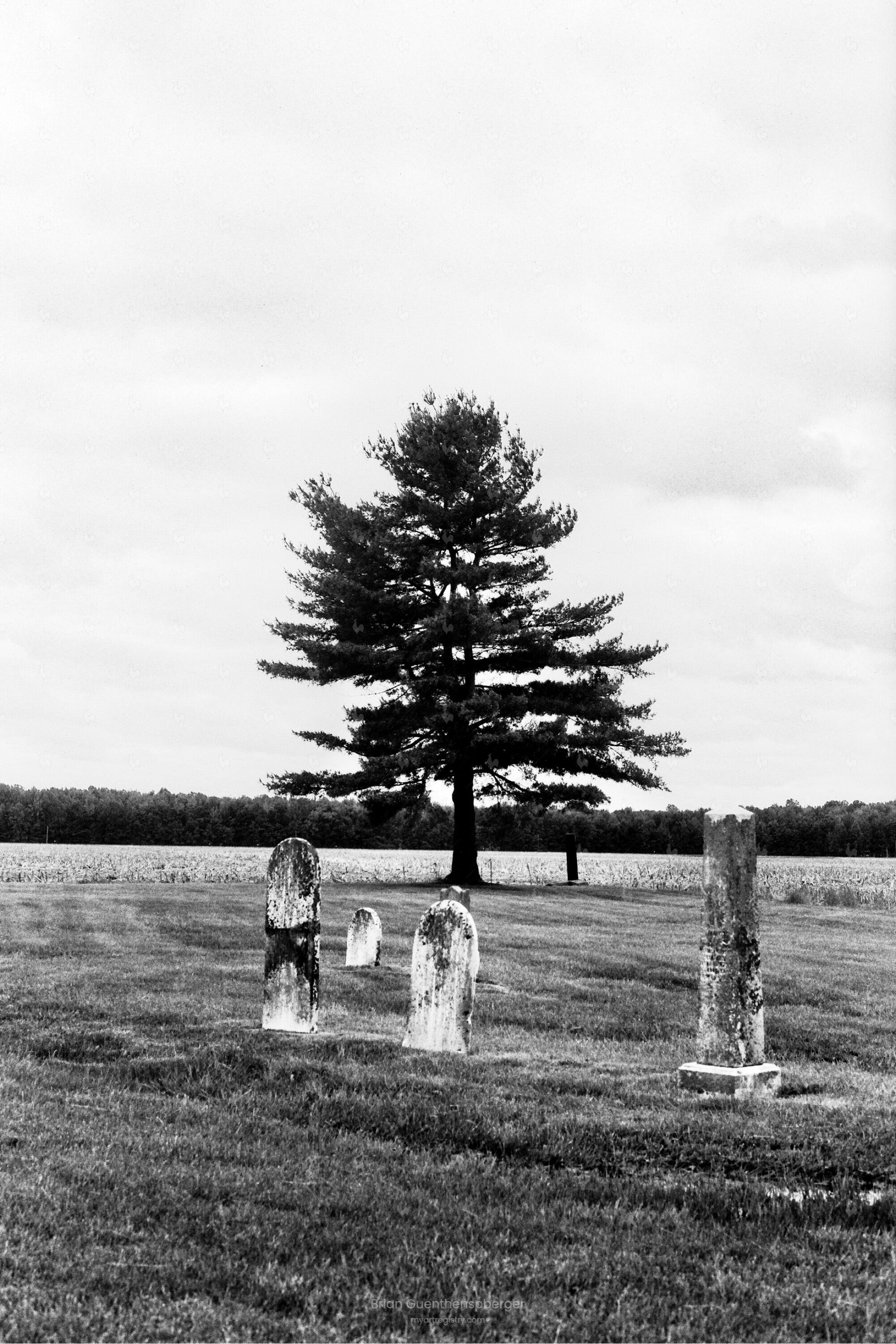 Lonely Grave
