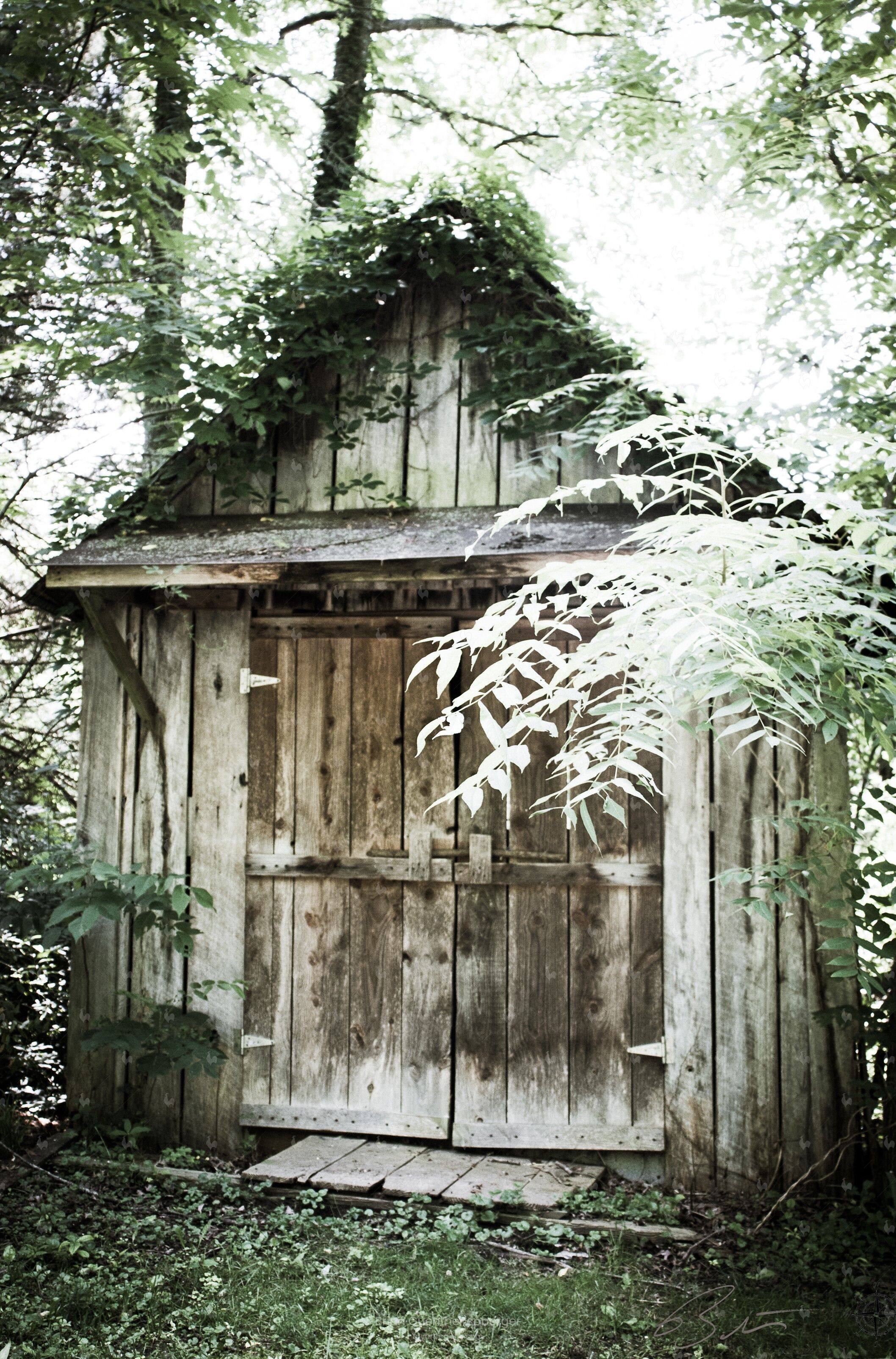 Shed