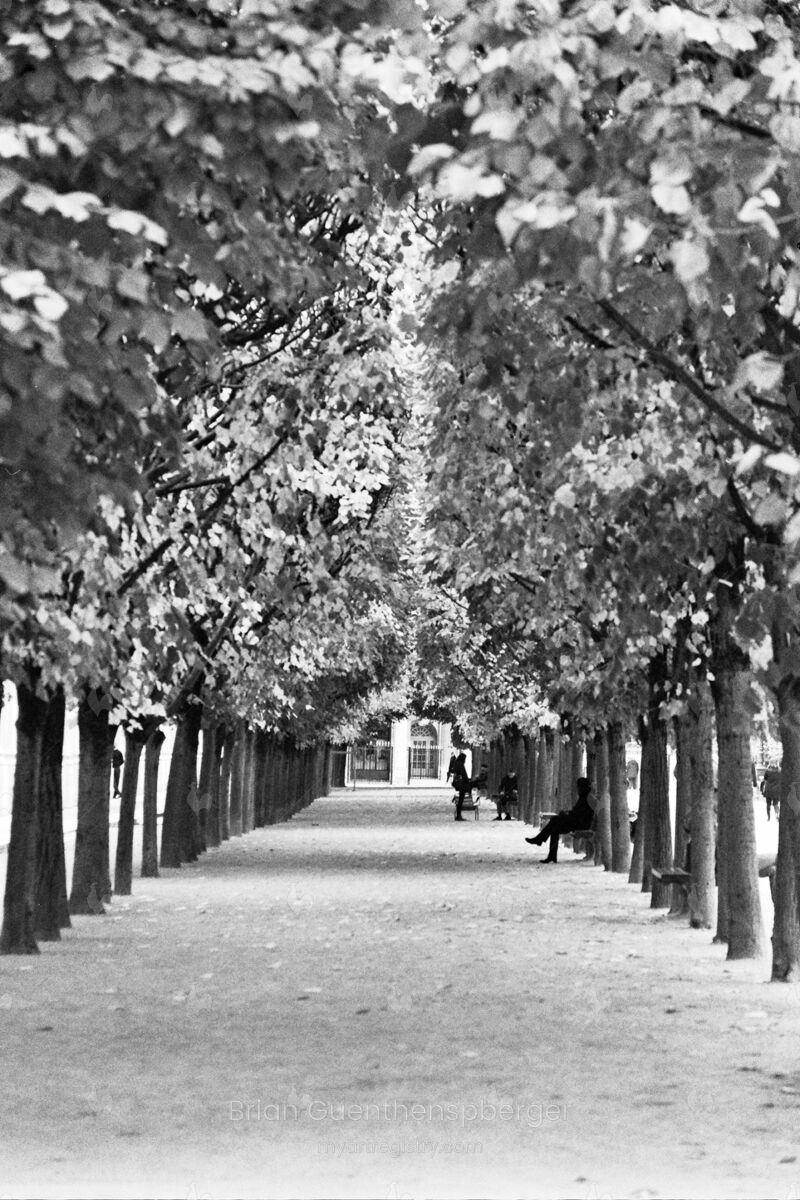 Solitude