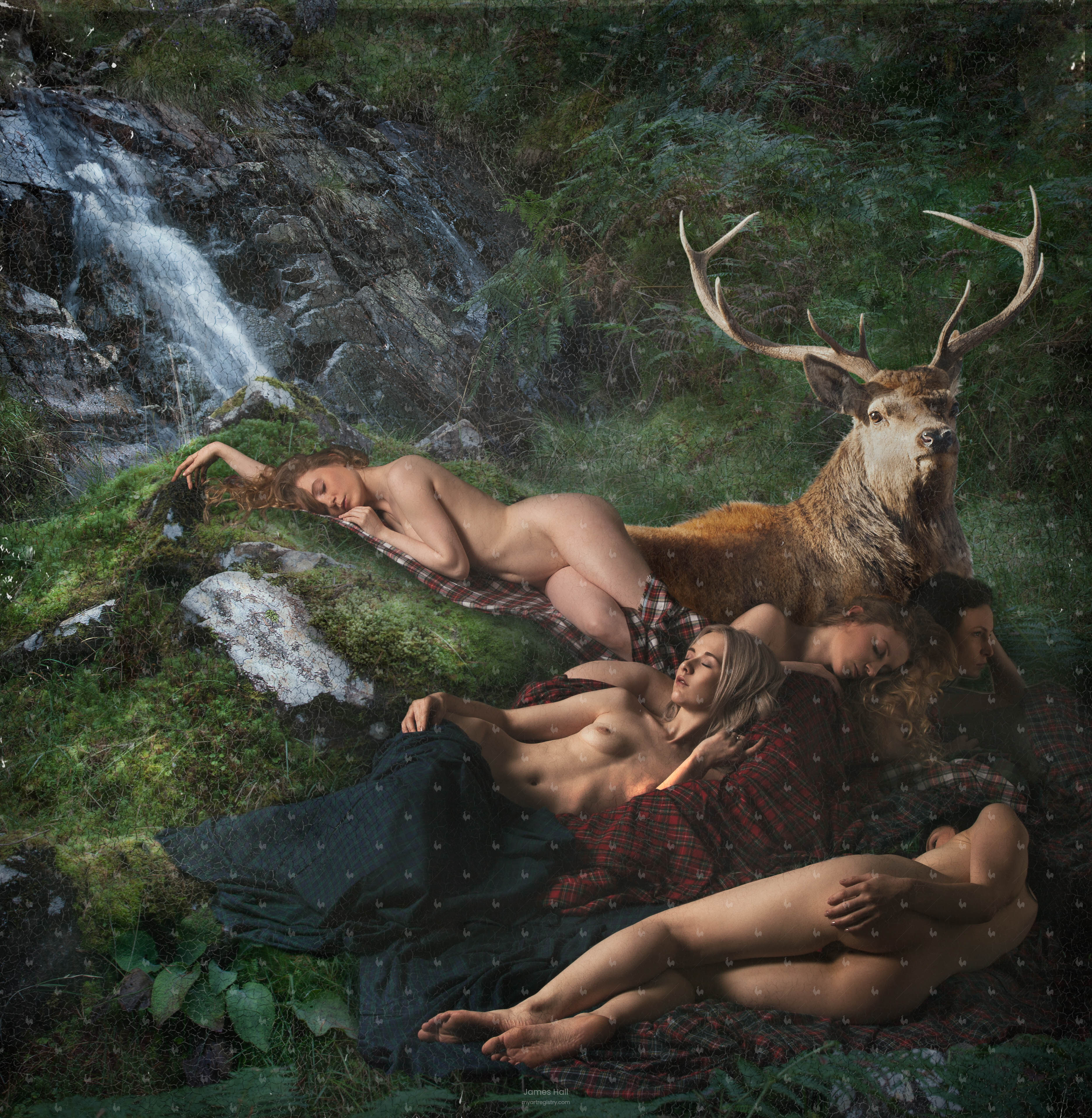 Red Stag with Nymphs - 1 of 5 - Large