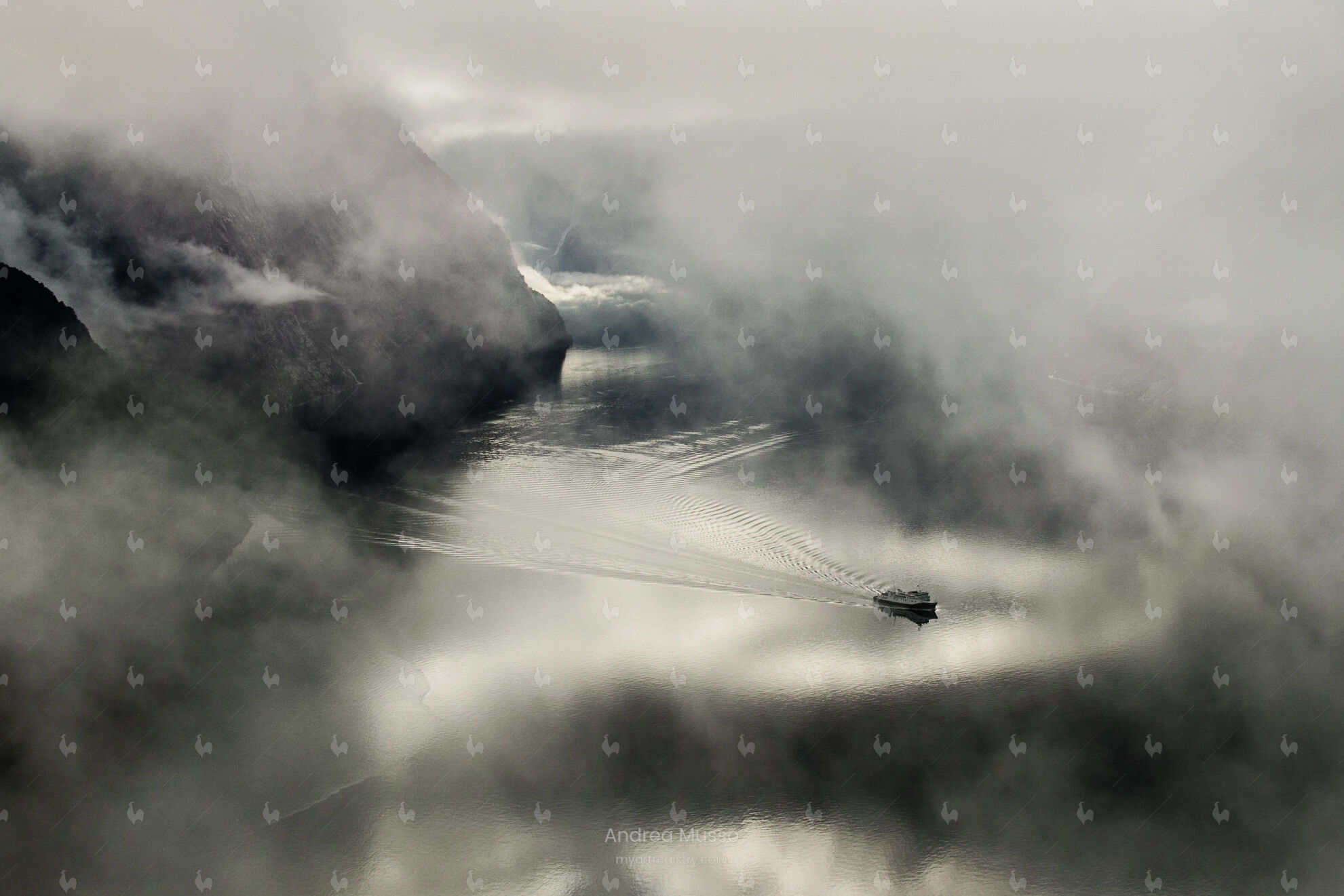 Fjord, 2016