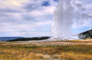 Old Faithful Yellowstone National Park