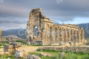 The Basilica At Volubilis - Morocco