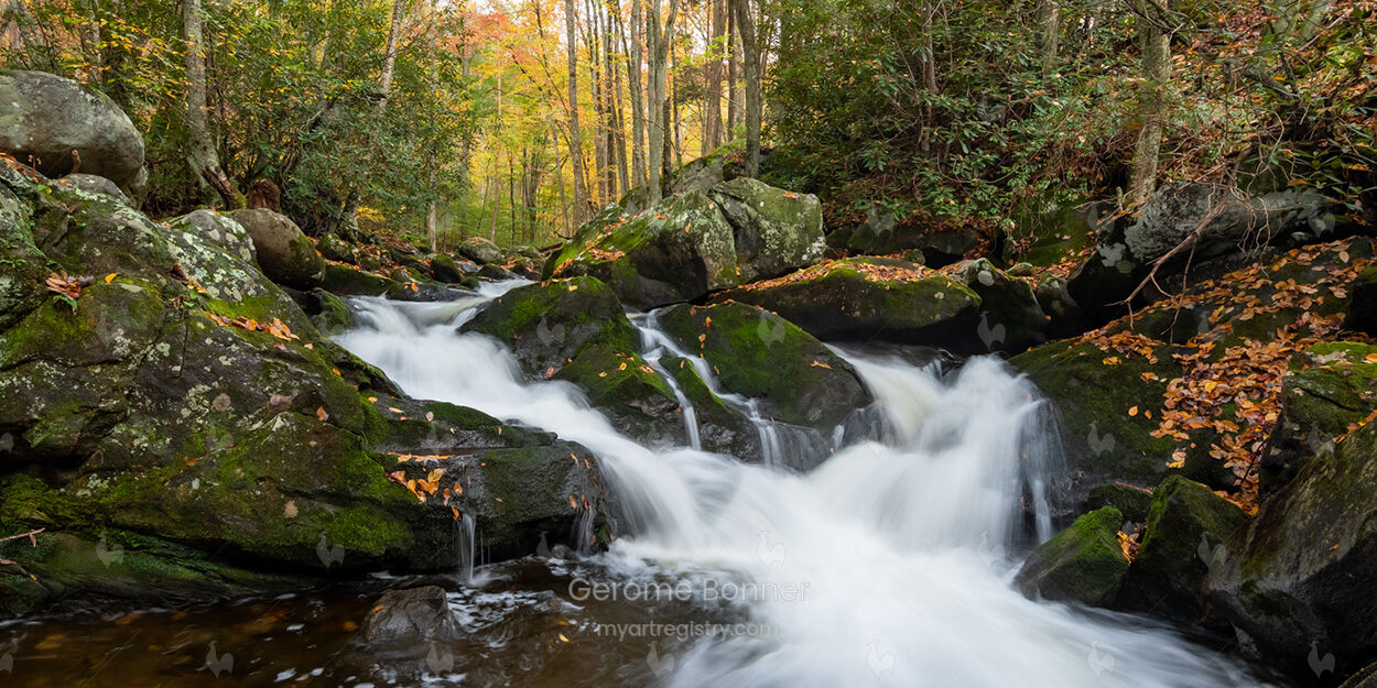Natures Flow