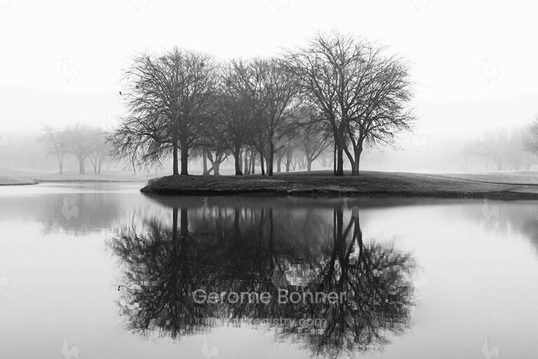 Mystic Morning