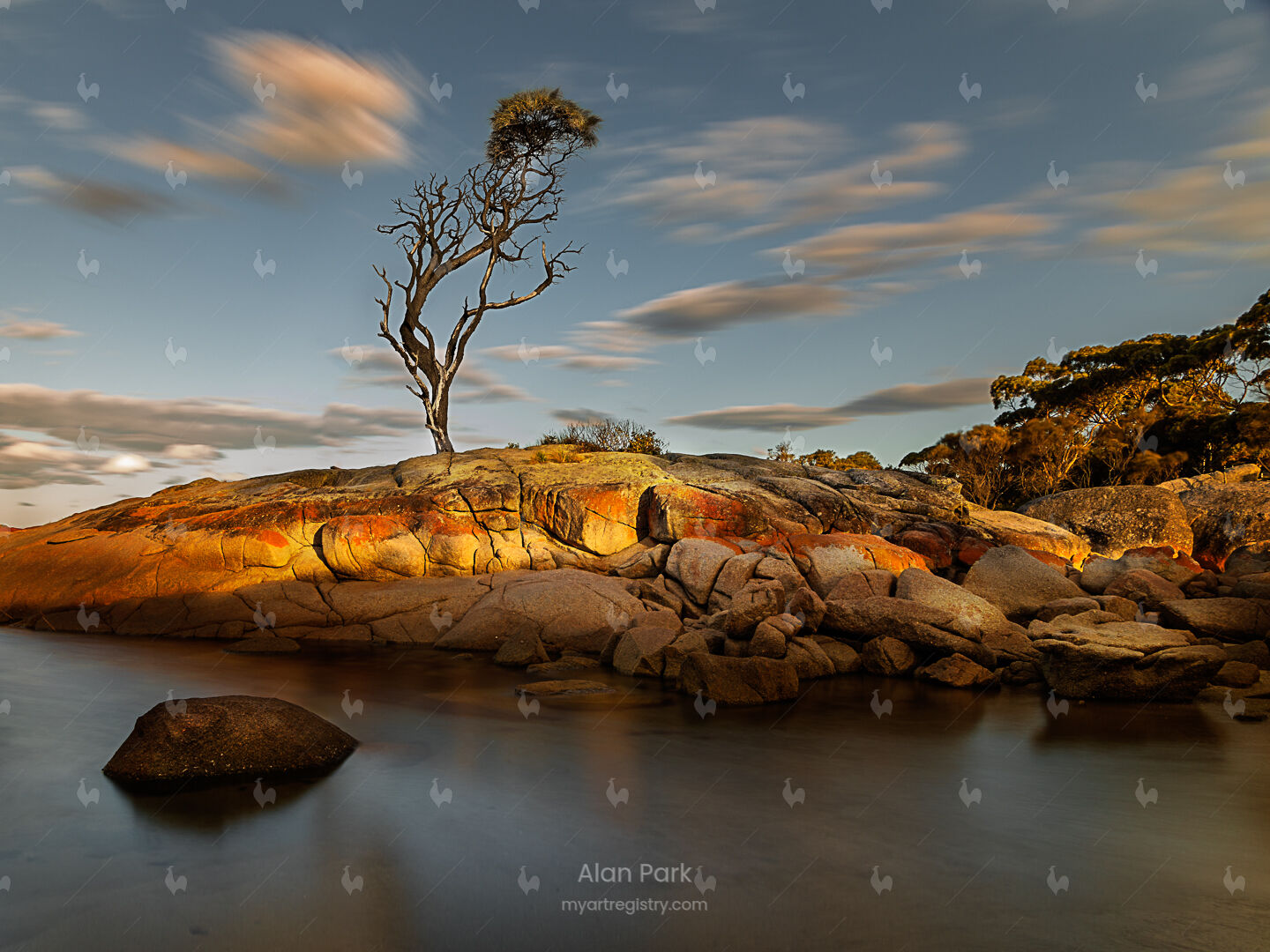 The Binalong Tree