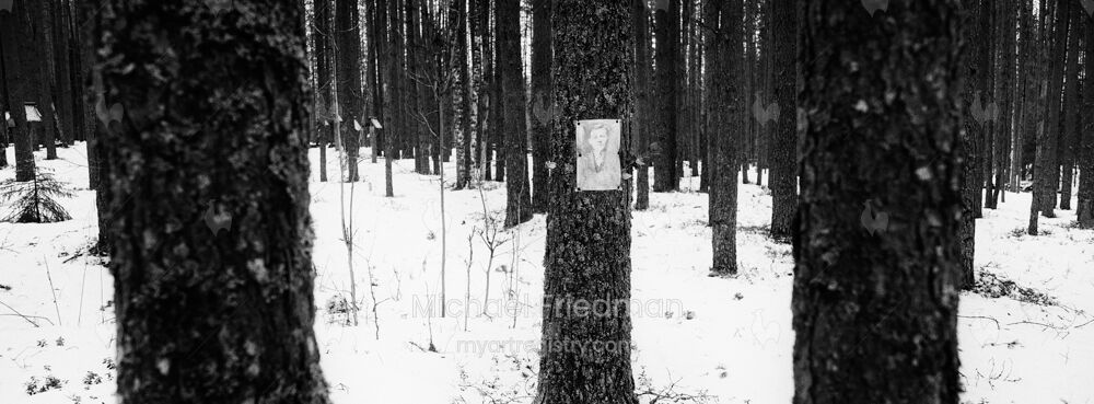 Karelia Tree Portrait