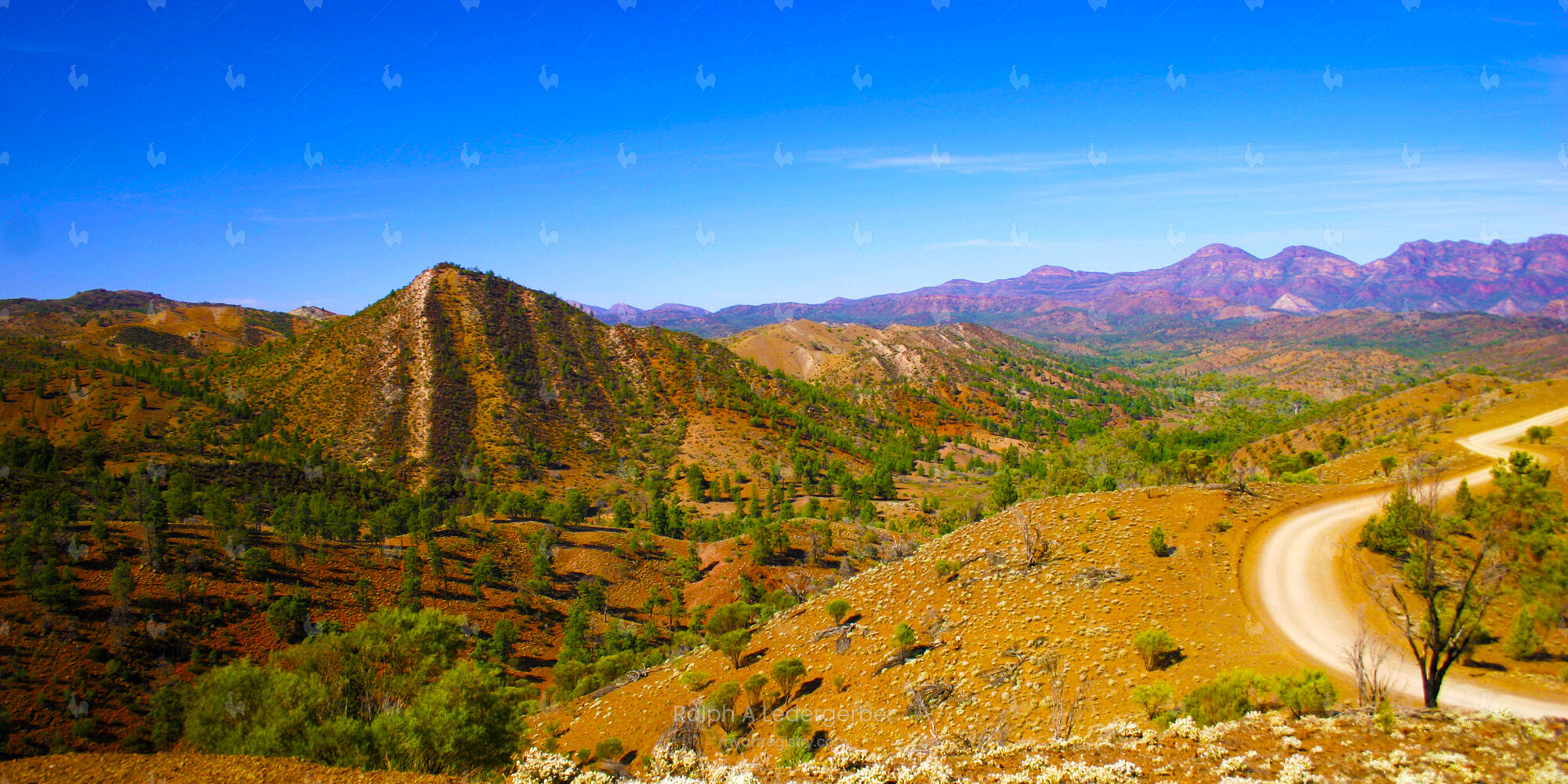 FLINDERS RANGES, SA, AUSTRALIA