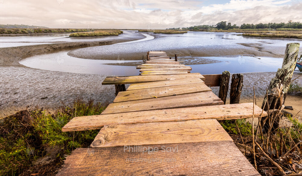 Le ponton