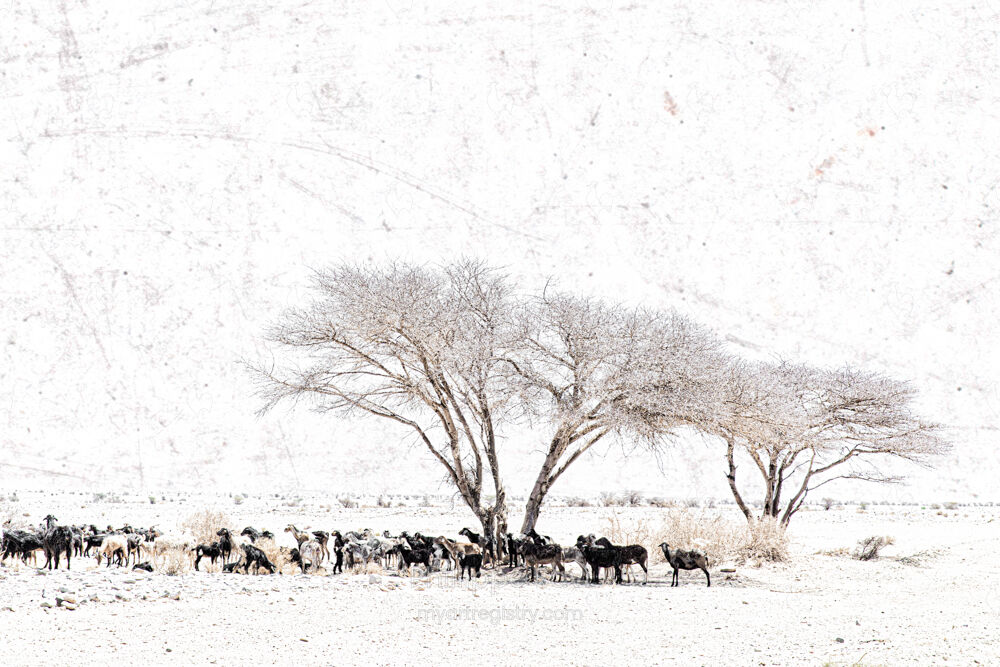 Gardiens du temps 07