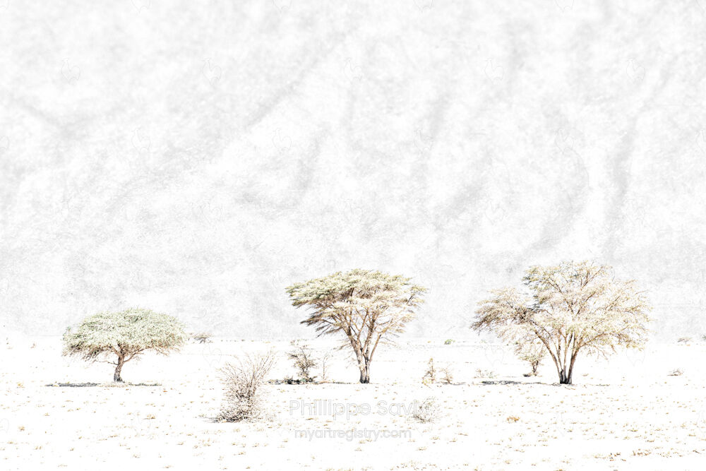 Gardiens du temps 05
