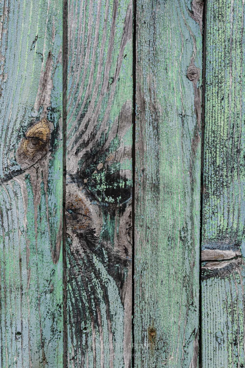 envol vert