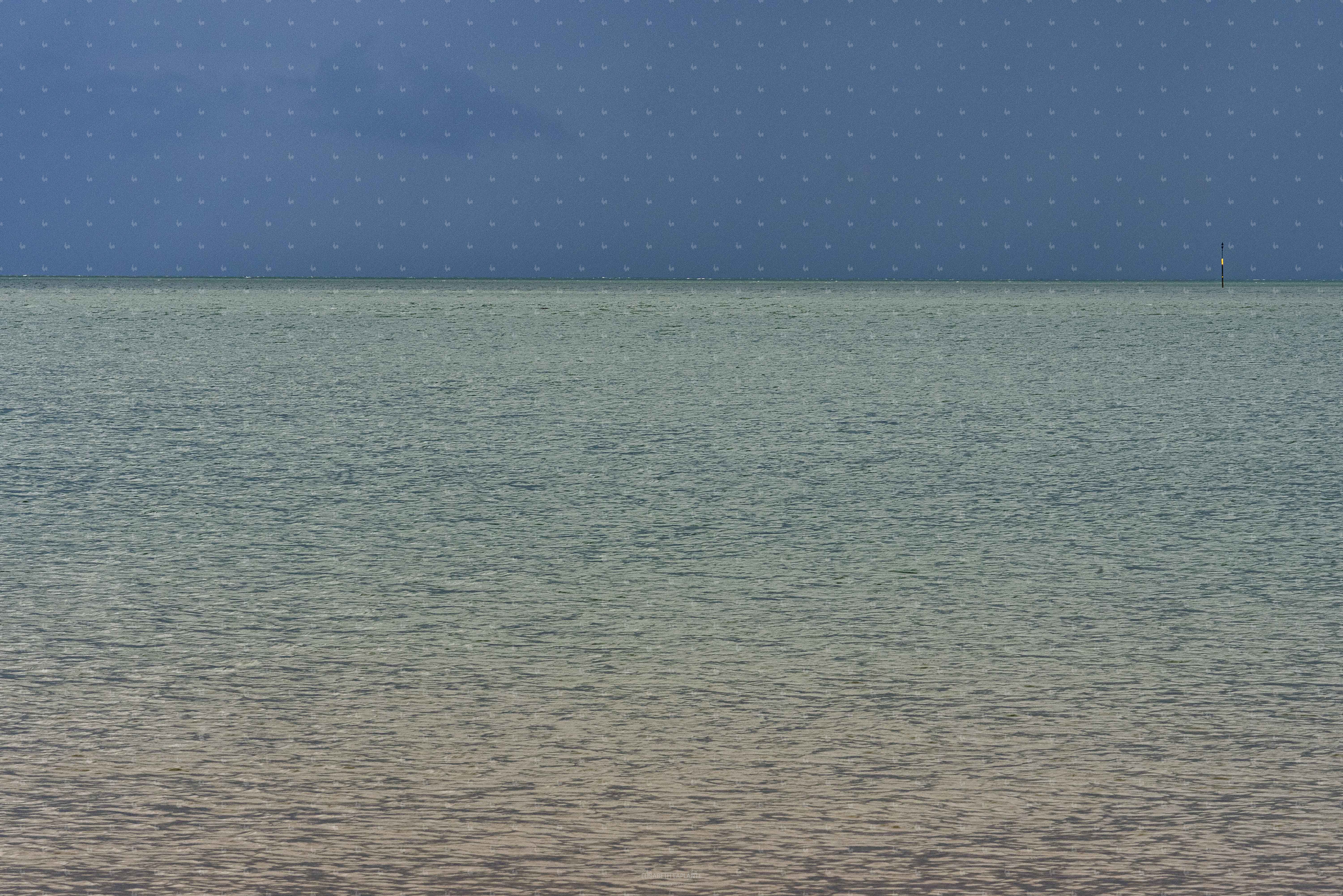 une pensée pour Rothko