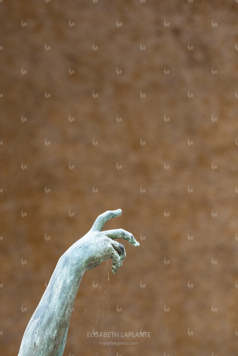 14072018-_DSC1537