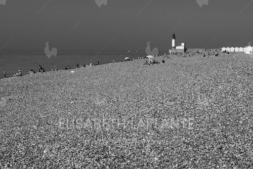 06052018-DSC_0024