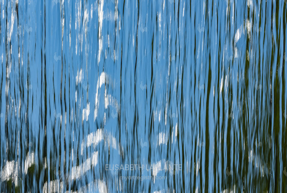 Rideau