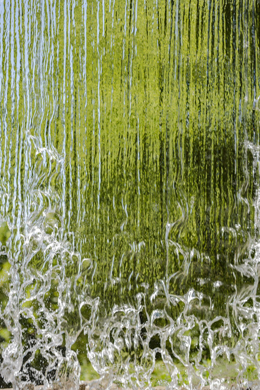 dentelle d'eau