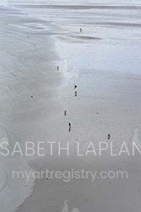 Shore line