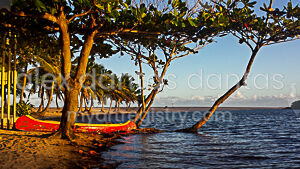 PAISAGEM