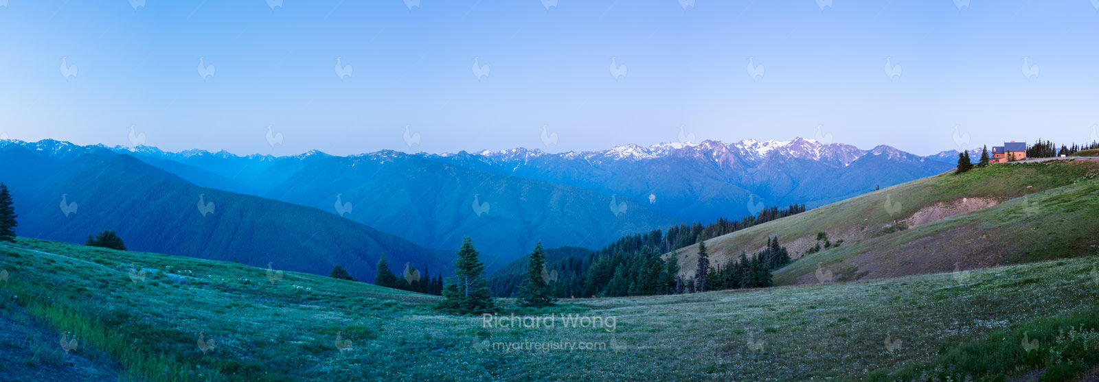 Hurricane Ridge Panoramic at Dawn / RWPano126