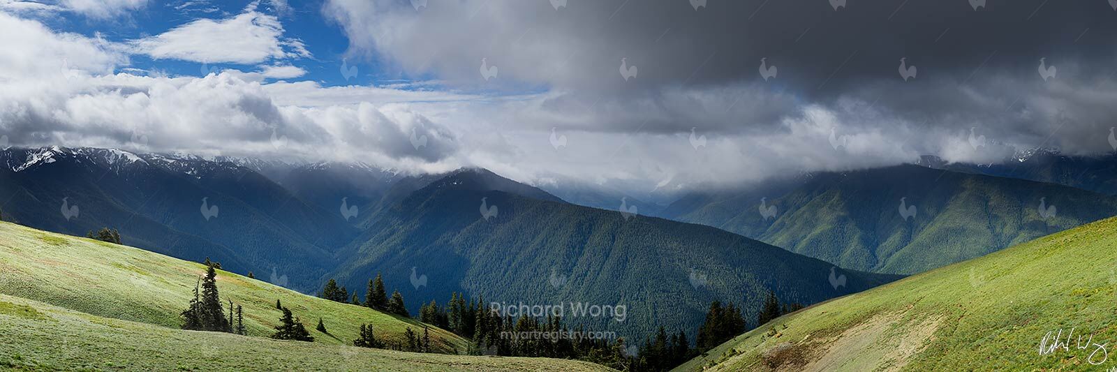 Hurricane Ridge Panoramic / RWPano107-2