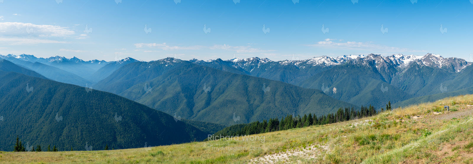 Hurricane Ridge Summer Panoramic / RWPano127