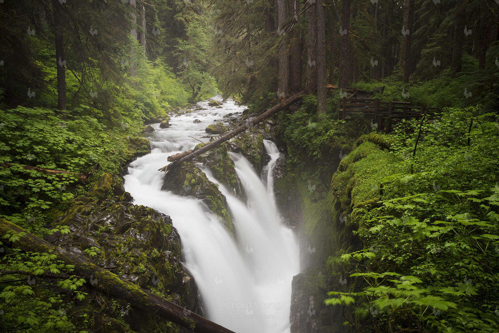 Sol Duc Falls / RW9725