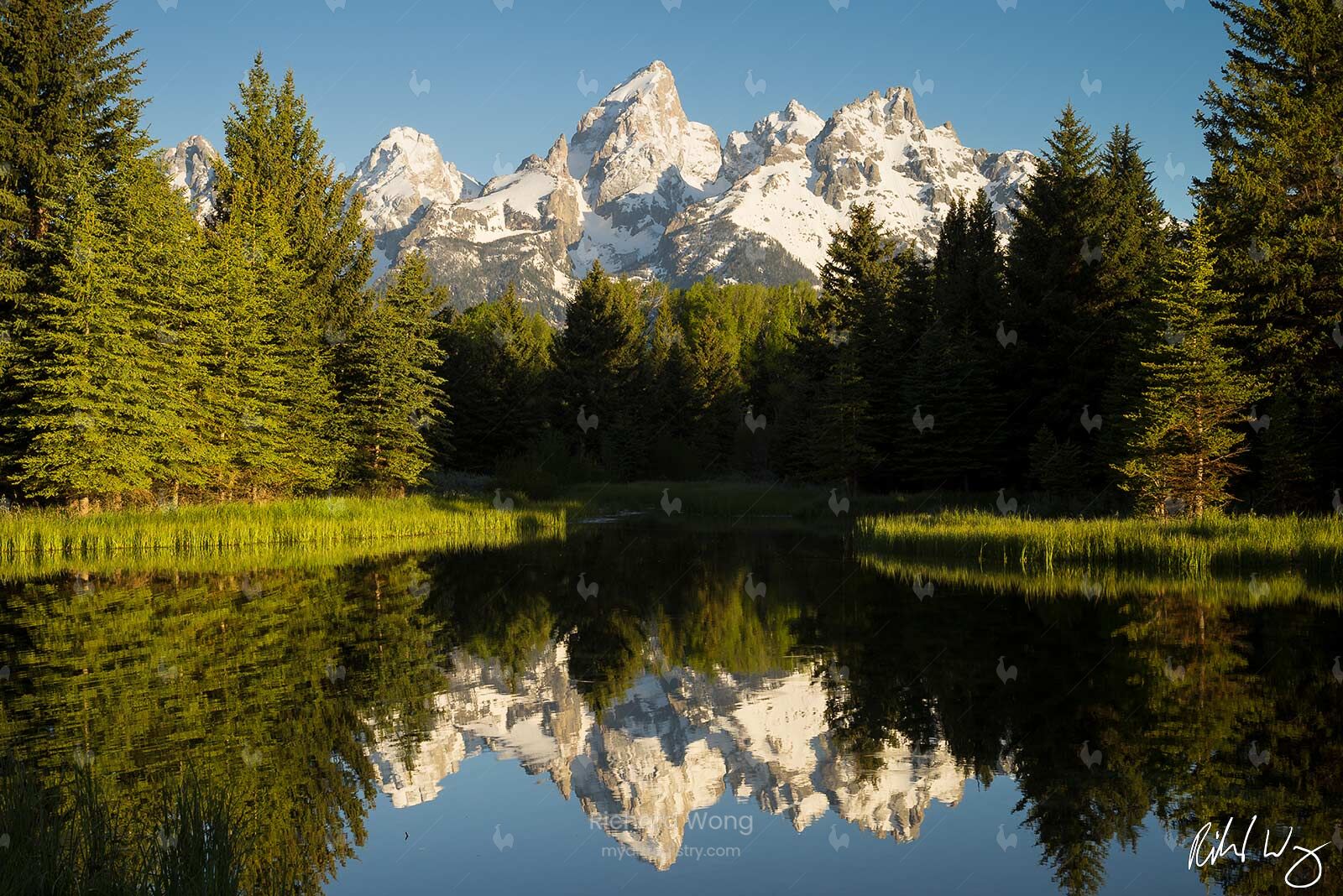 Schwabacher Landing
