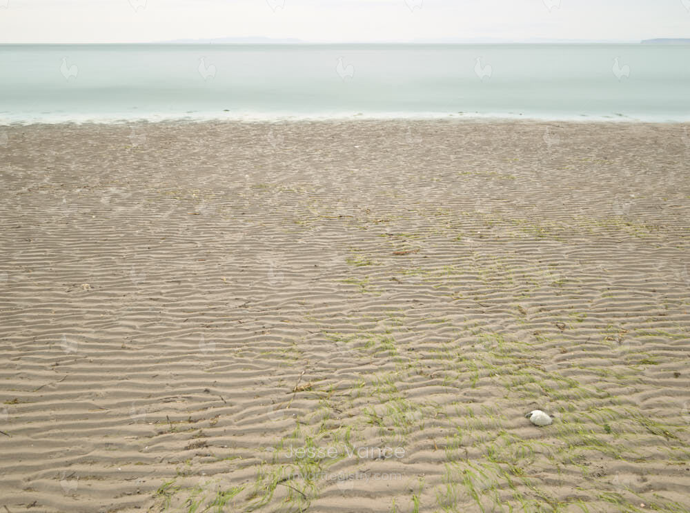CF009848 - Sand And Solitude