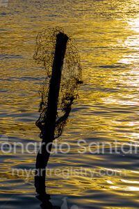 Parada pescador