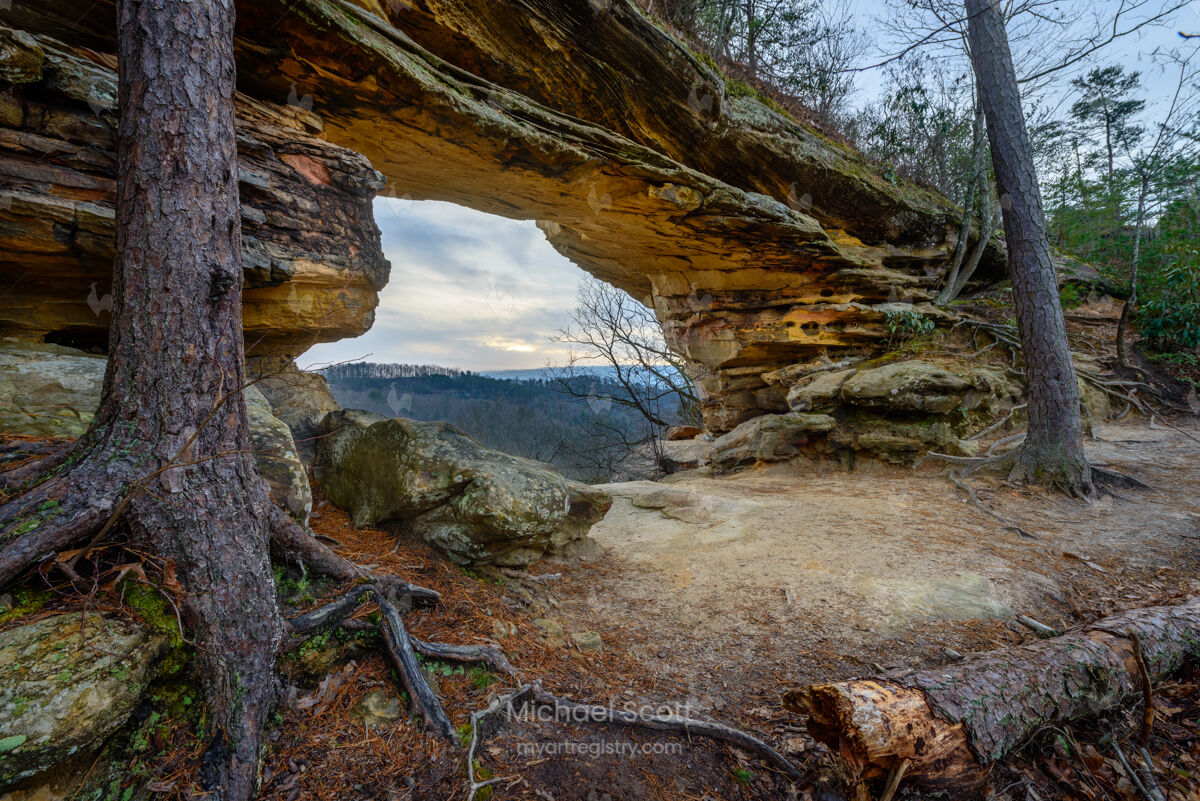 A Portal Through Time