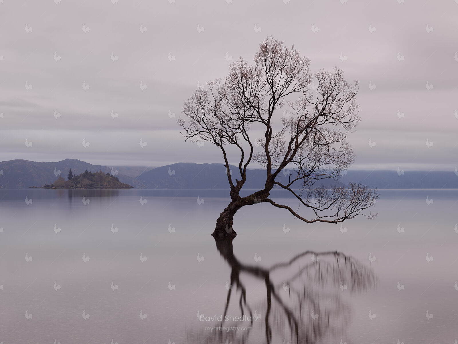 "Evening Reflections"
