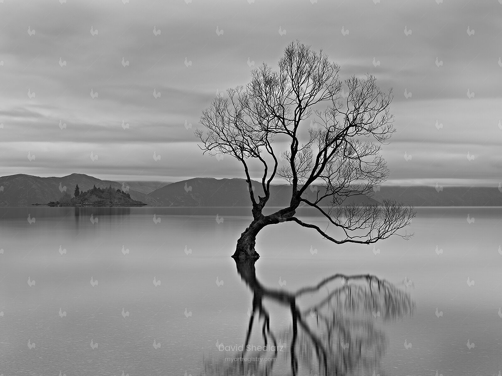 "Evening Reflections" New Zealand 2019