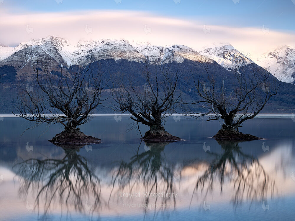 "Trifecta" New Zealand 2019