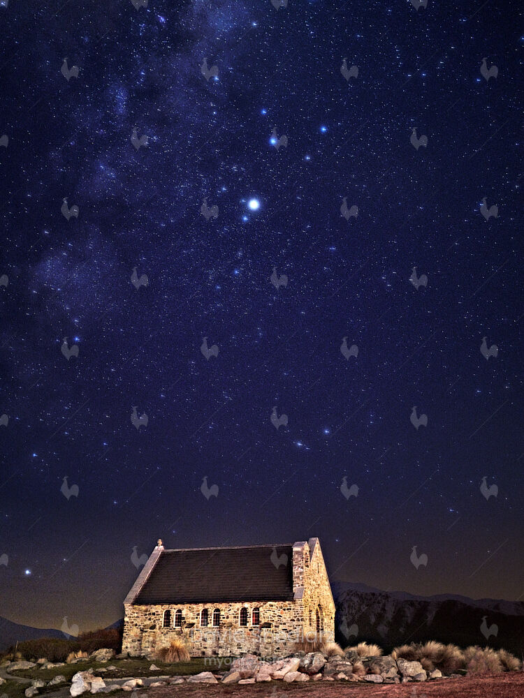 Star Light, Star Bright New Zealand 2019